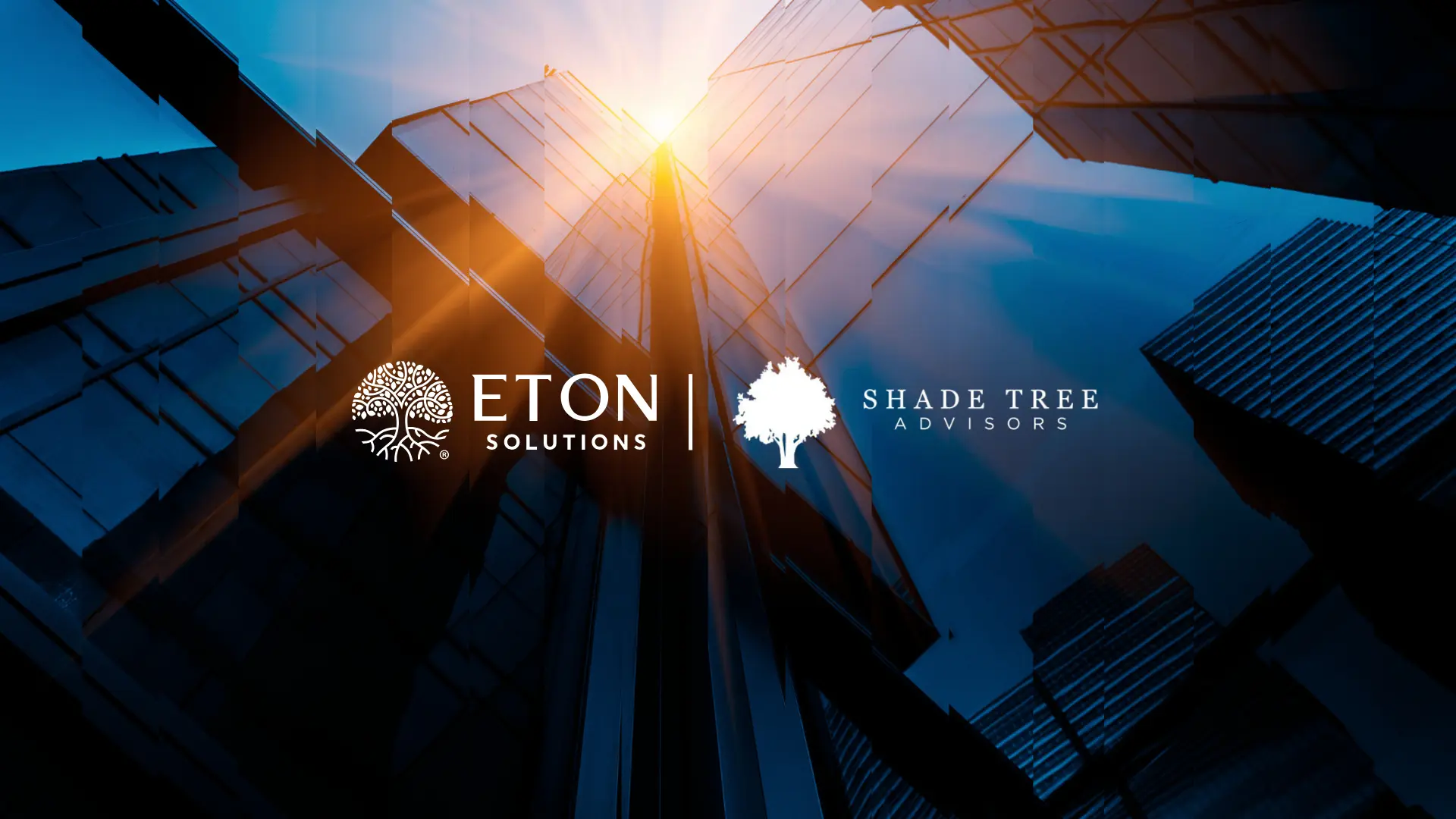 Transforming Family Office Operations Shade Tree Advisors’ AI Journey